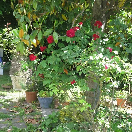 Вилла Gesualda *